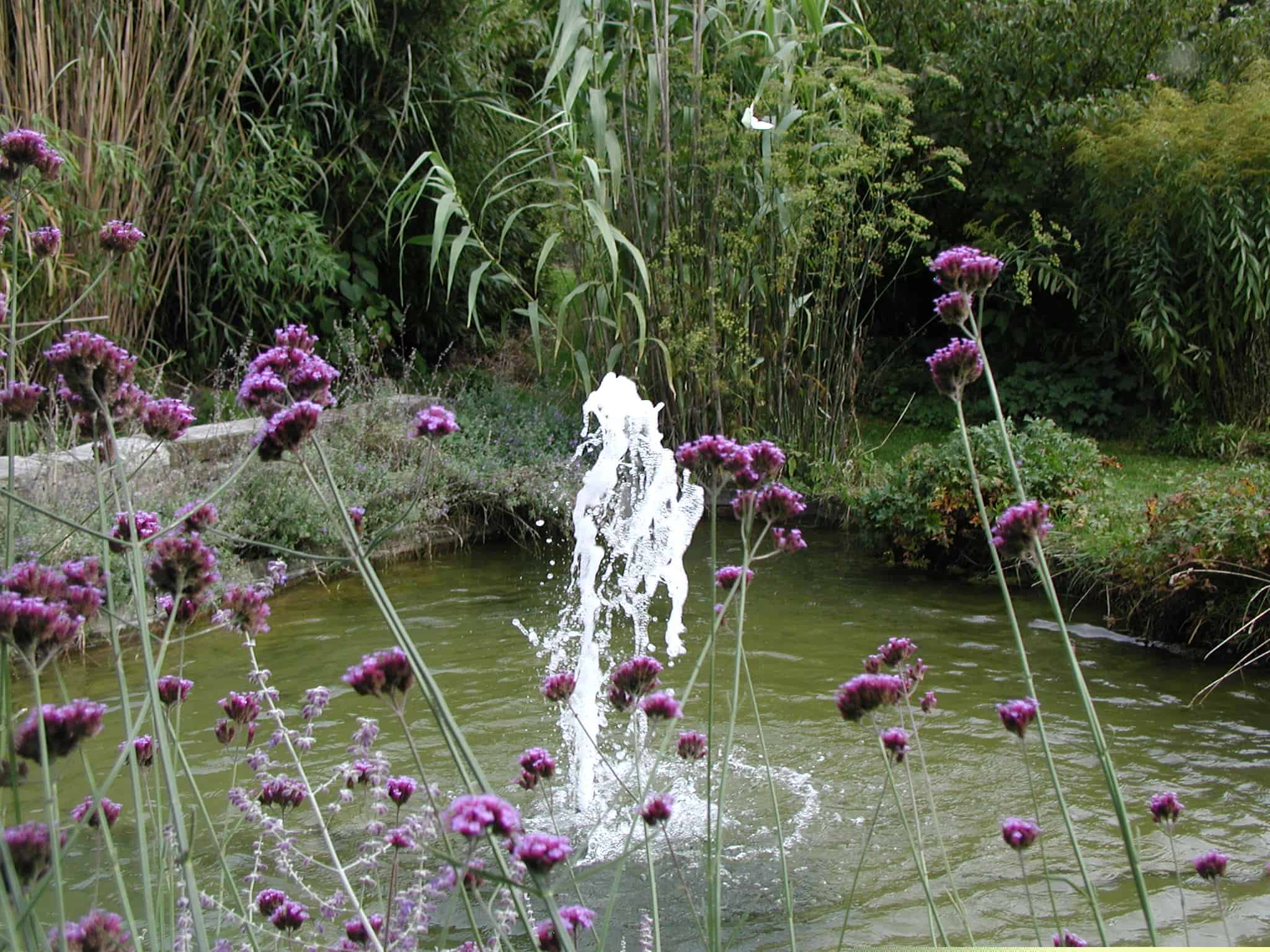 étang jet d'eau plantation paysagiste