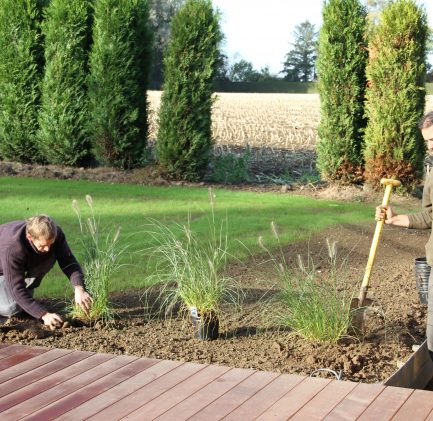 terrasse bois jardin planche Pin, Acacia, Ipe, Jatoba, Massaranduba, Cumaru plantation